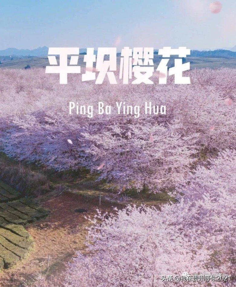 姓氏头像第88期，2024龙年行大运个性签名头像，请查收