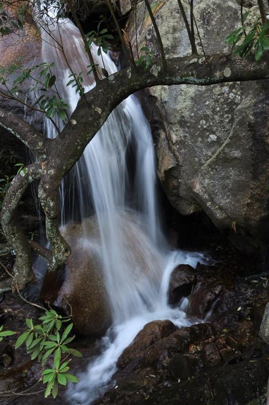 1月27日至2月9日，广阳岛洪崖洞、洪崖洞广阳岛观光轮渡停航