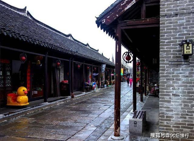 逃离神秘之林